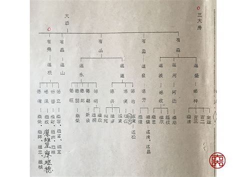 廖氏族譜 樟樹功效